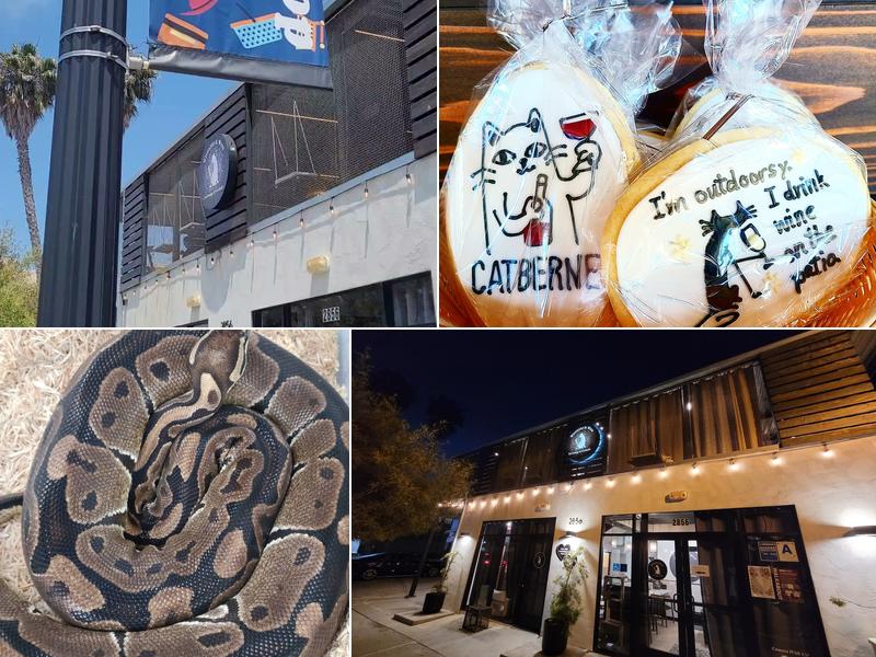 Whiskers & Wine Cat Lounge and Cocktails 2856 Adams Ave, San Diego