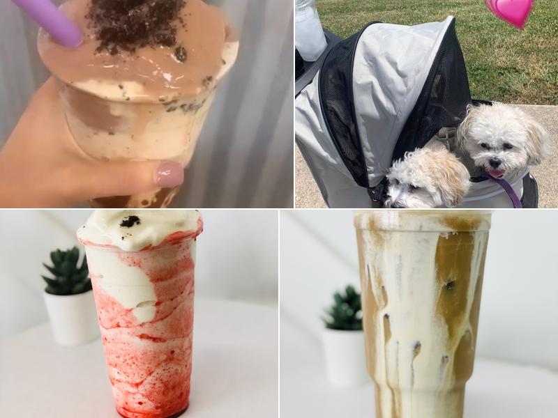 REVolve Nutrition - An Herbalife Shop