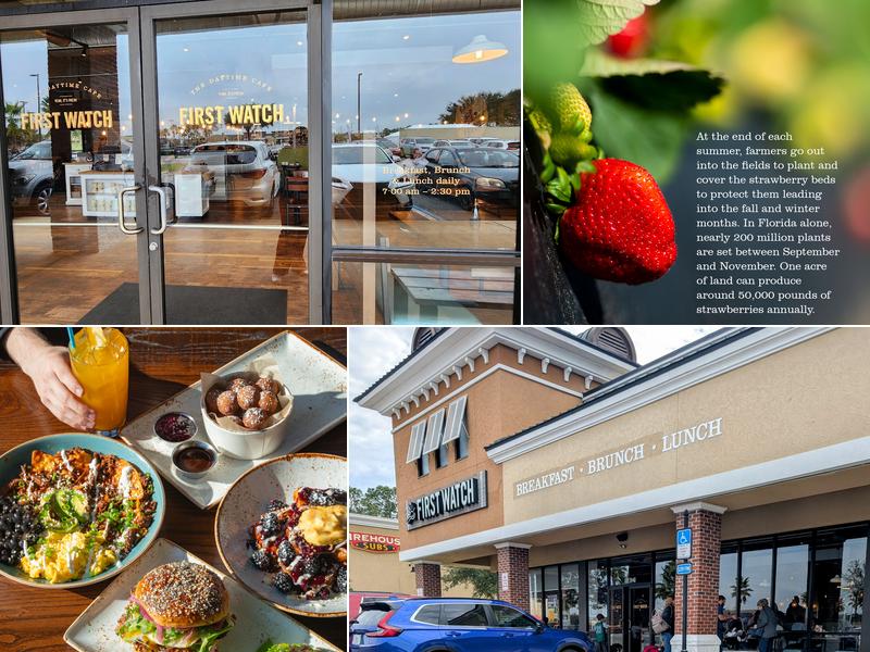 First Watch - Oakleaf