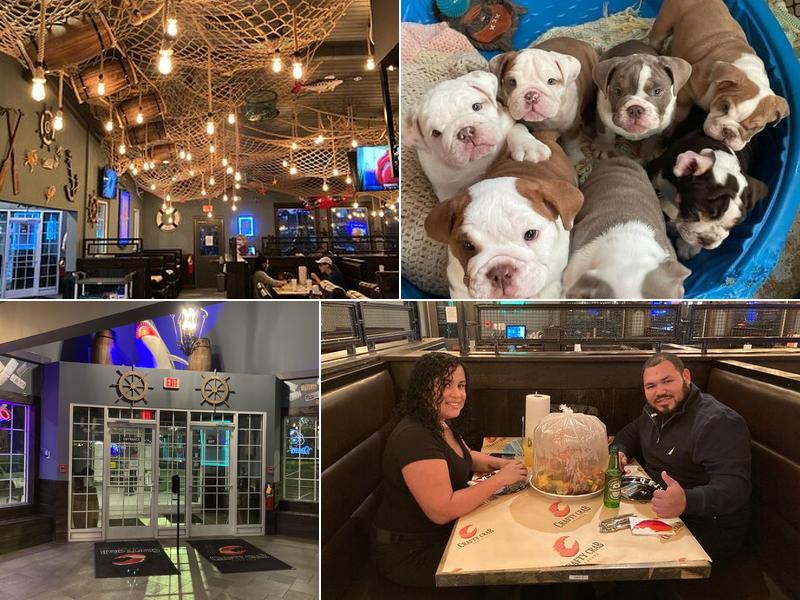 Crafty Crab Concord 8480 Pit Stop Ct NW, Concord