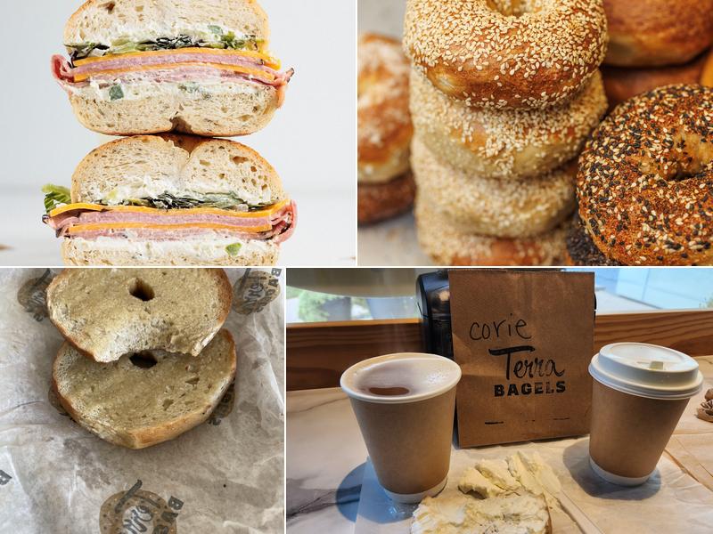 Terra Bagels