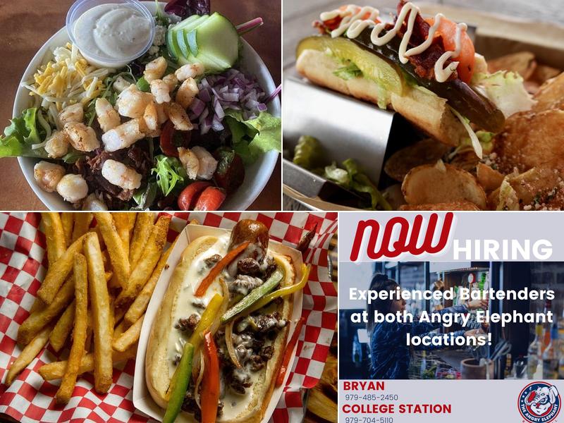 The Angry Elephant - Bryan