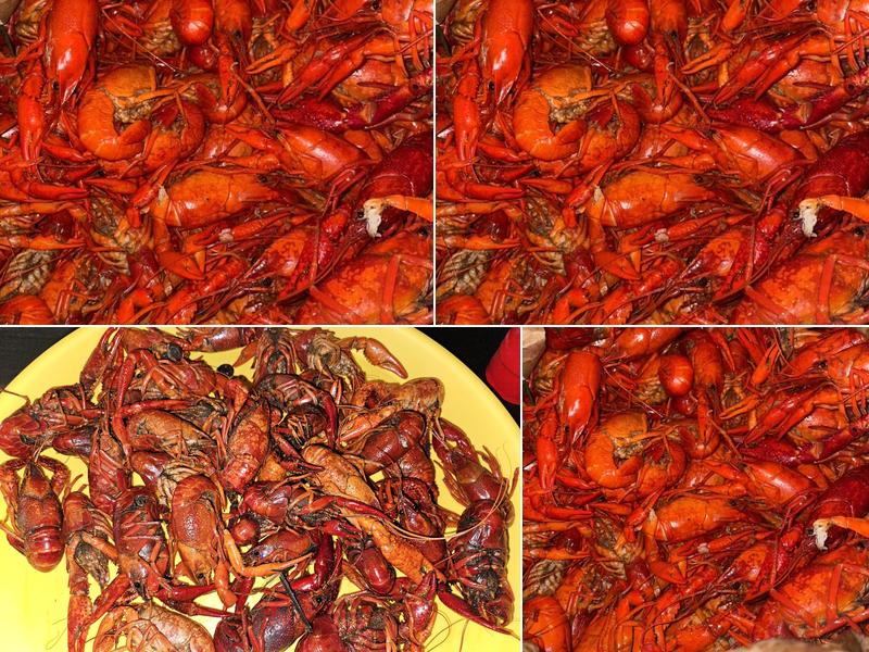 Crawfish X-press