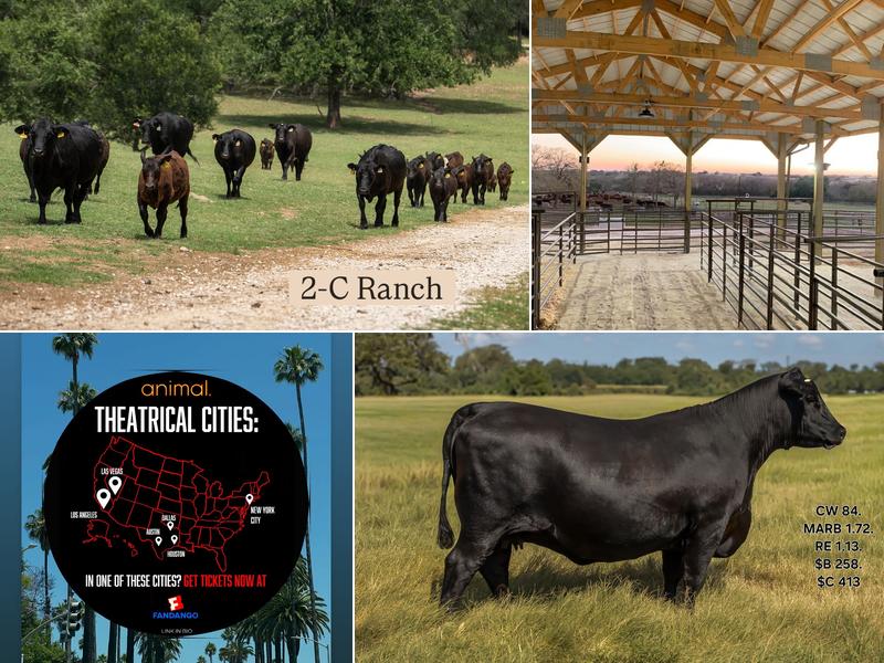 2 Bar C Ranch 17968 FM1322, Luling