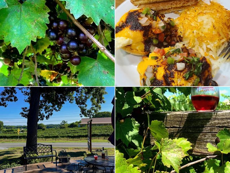 dennis vineyards 20529 Biles Rd, Albemarle