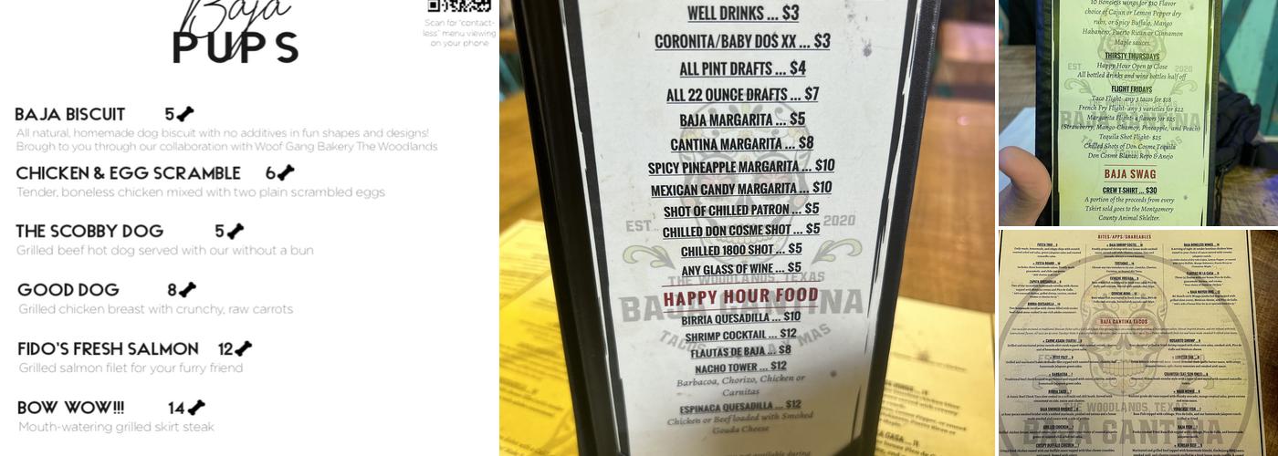 Baja Cantina and Fiesta Menu