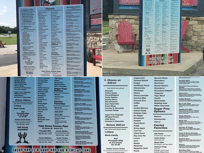 Cactus Snow Cones! Menu