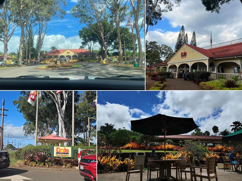 Plantation grille 64-1550 Kamehameha Hwy, Wahiawa