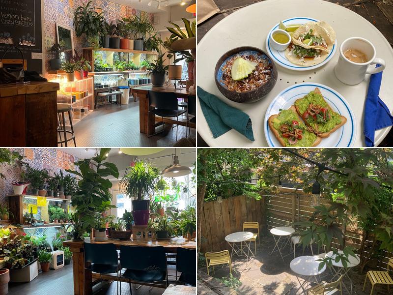 ​PLANTED CAFE