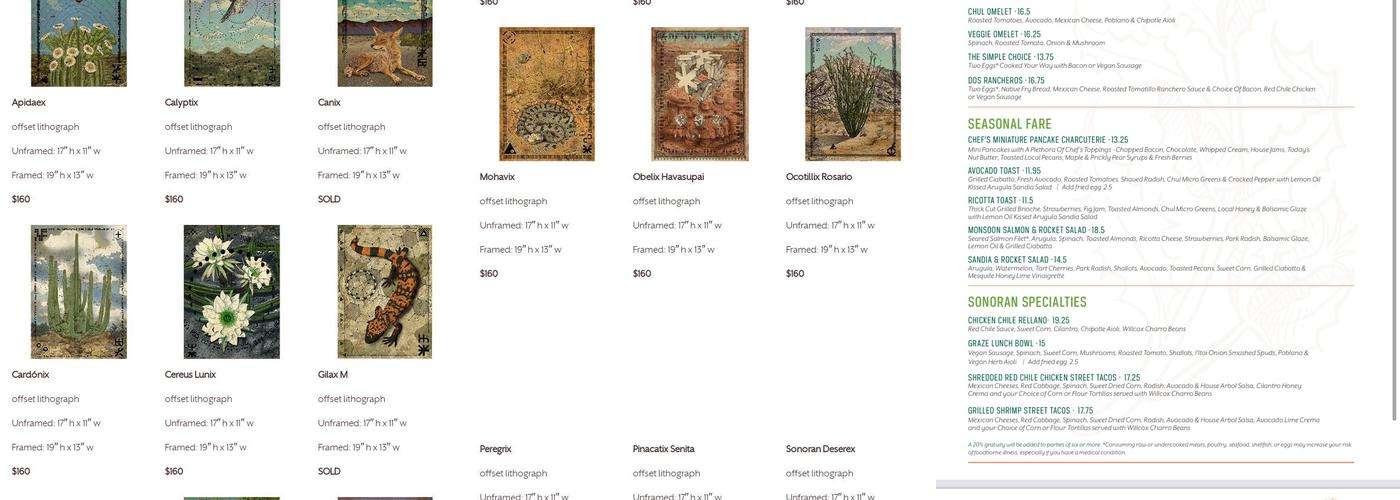 Tohono Chul | Gardens, Galleries, and Bistro Menu