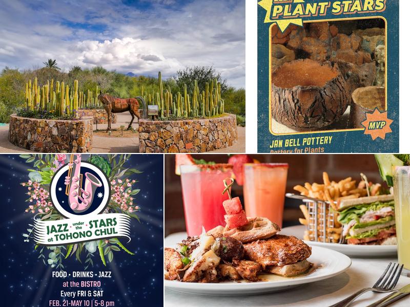 Tohono Chul | Gardens, Galleries, and Bistro