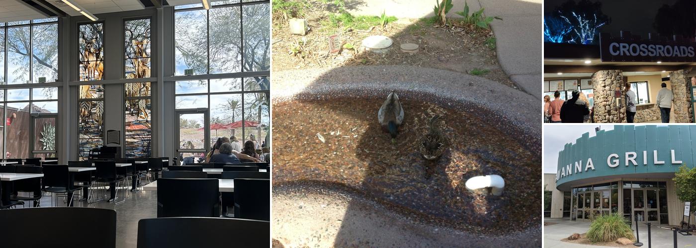 Savanna Grill at Phoenix Zoo