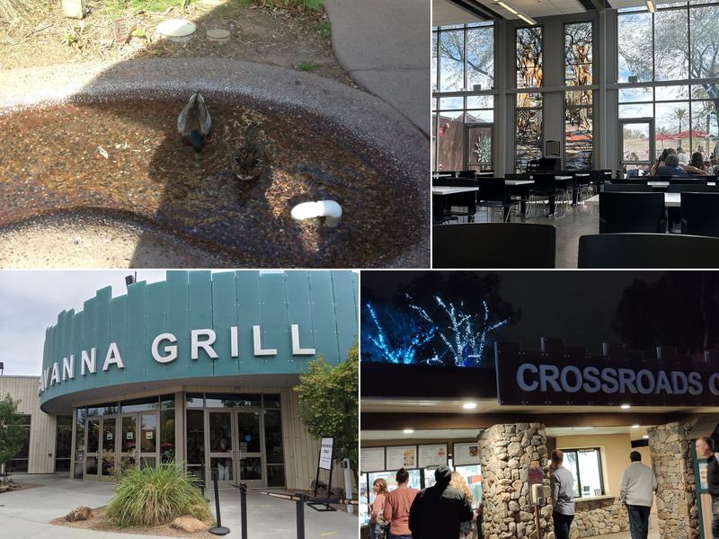 Savanna Grill at Phoenix Zoo