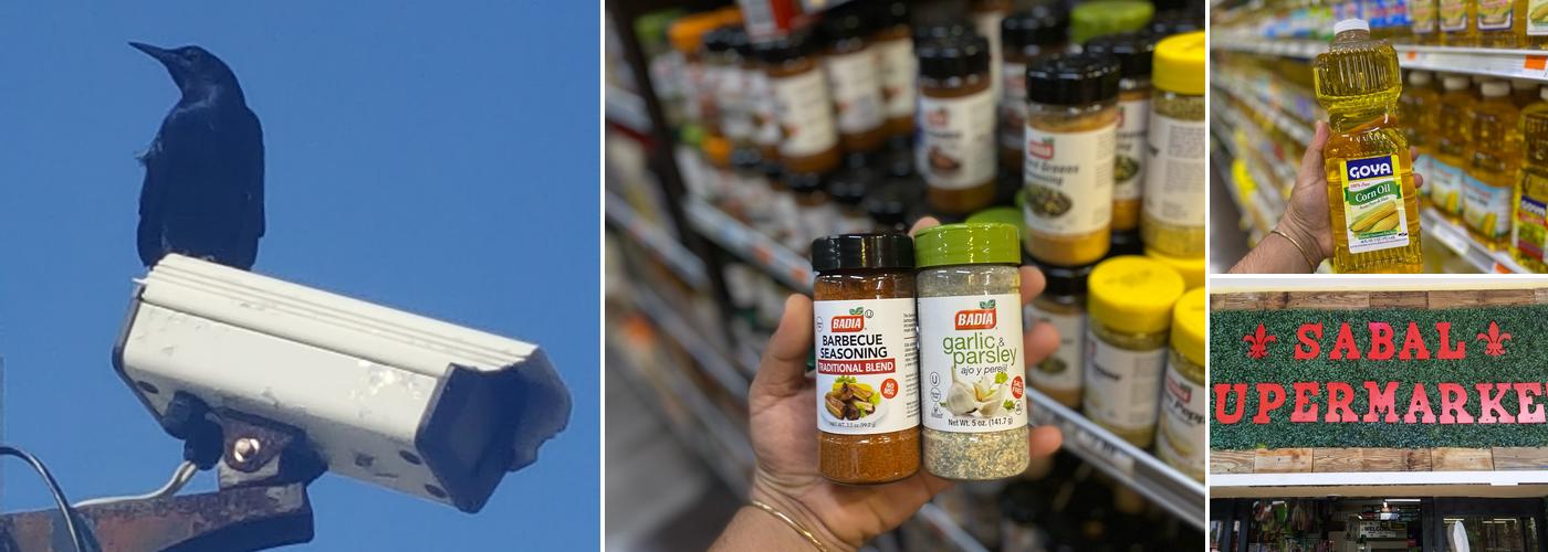 Sabal Palm Cafeteria