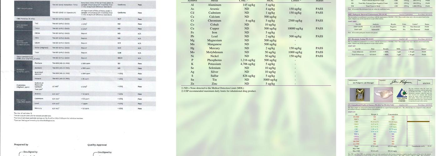 Plant Guy Menu