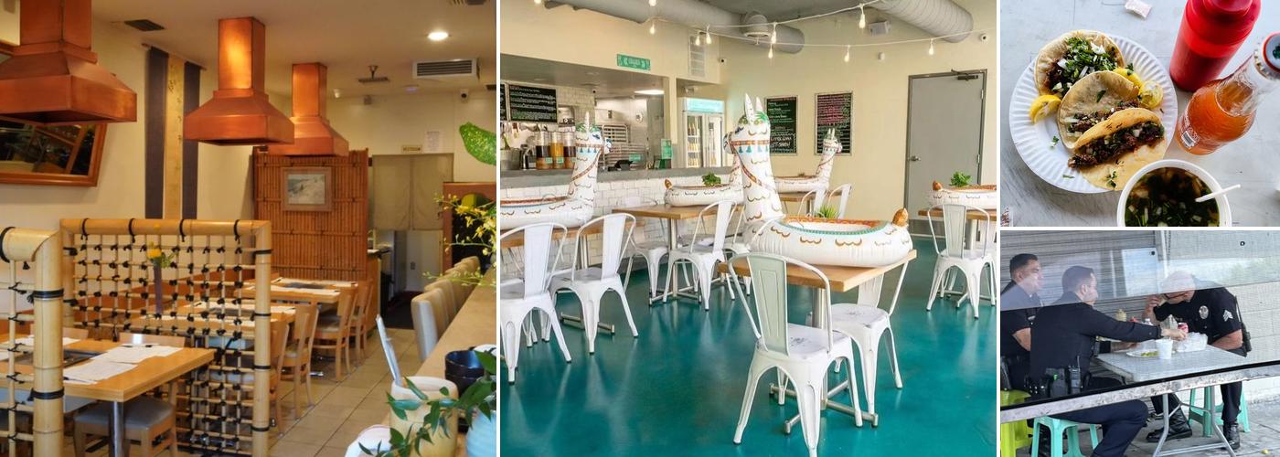 Tacos de sheep Rica Barbacoa Lonchera Candy