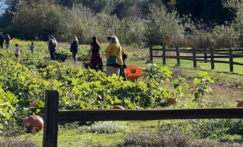 BelleWood Event Center