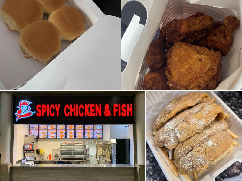 Spicy Chicken & Fish