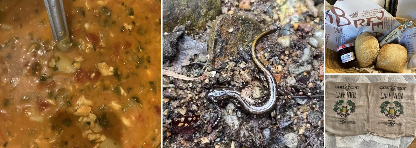 Nashoba brook parking