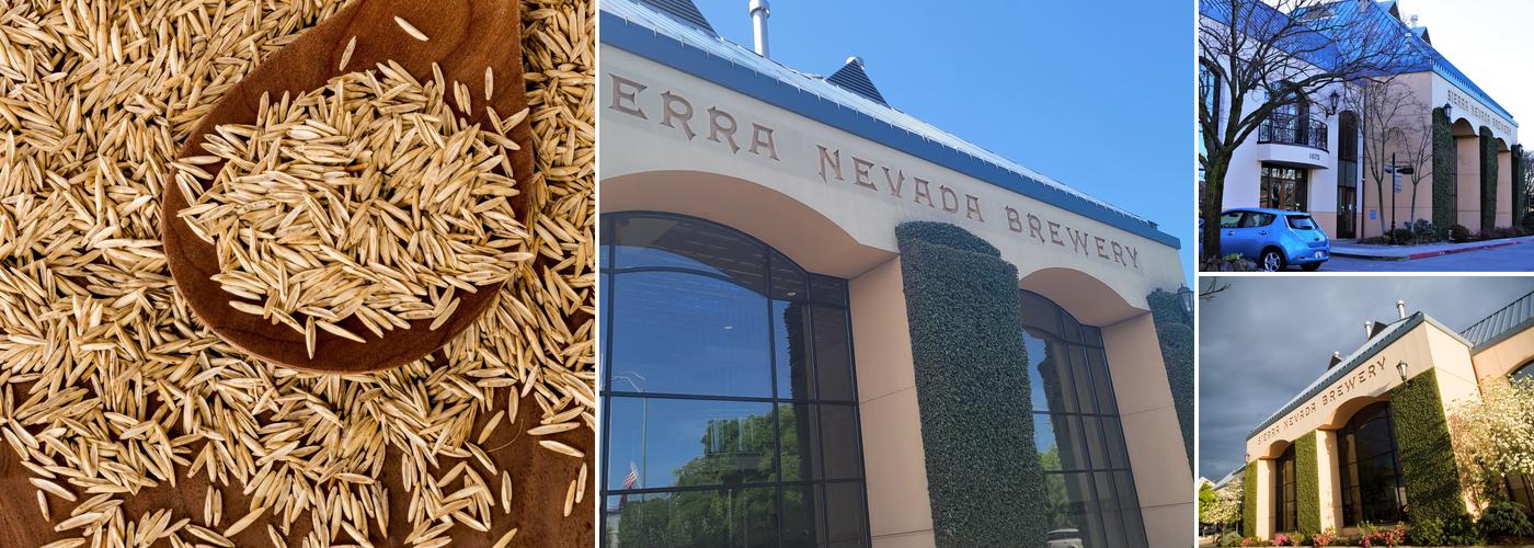 Sierra Nevada Brewing Co.