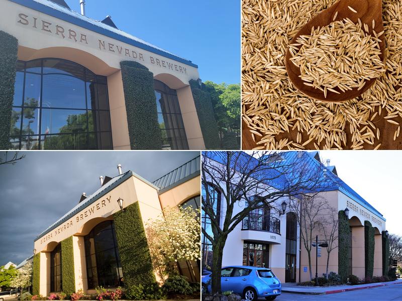 Sierra Nevada Brewing Co.