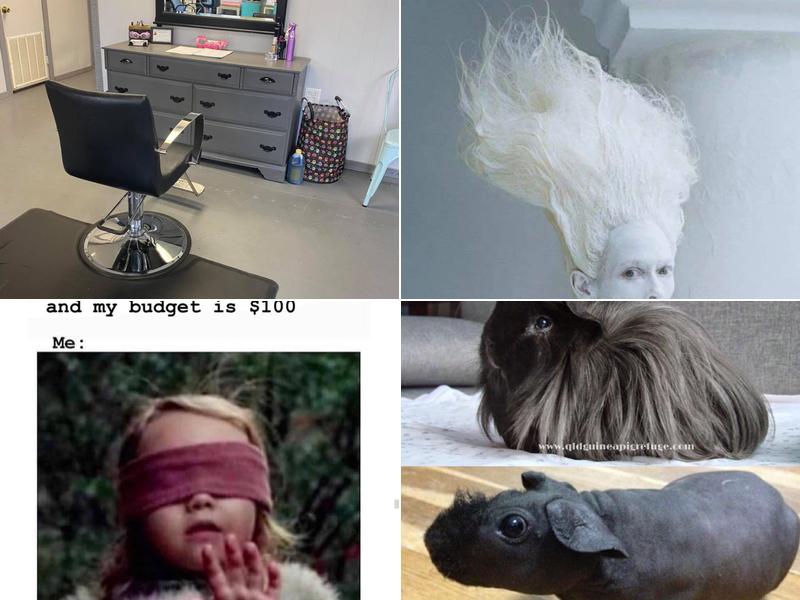 Rebellious Roots Salon