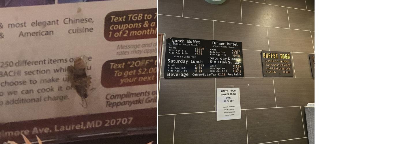 Teppanyaki Grill Menu