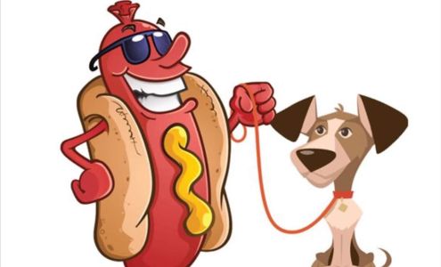 Dawgs Fur Dogs Darlington