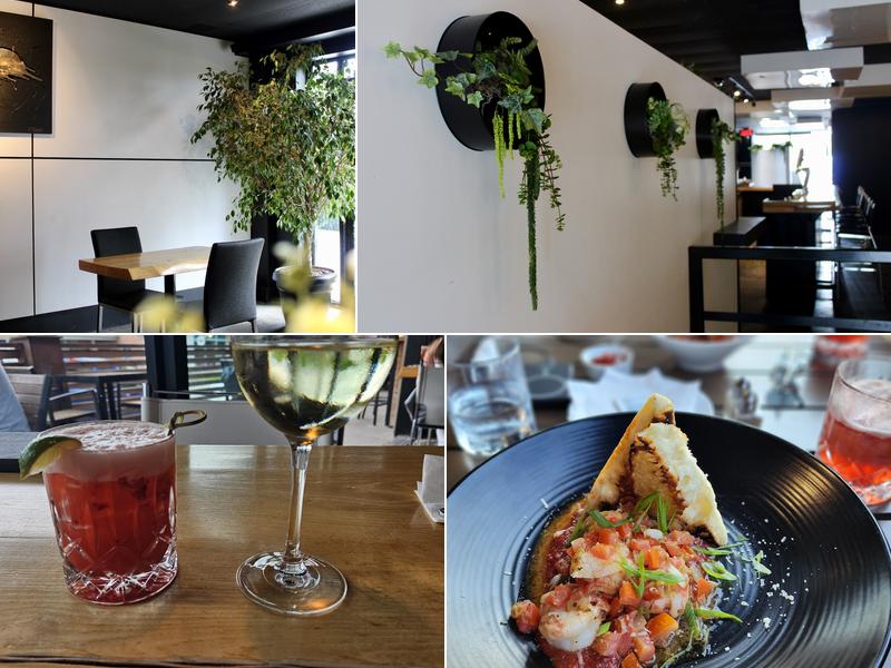 Overflow 1576 Rue King Ouest, Sherbrooke