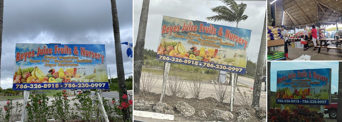 Reyes Juice Fruits & Nursery