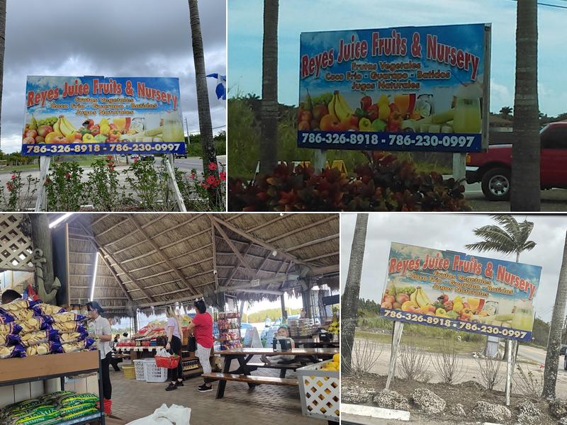 Reyes Juice Fruits & Nursery