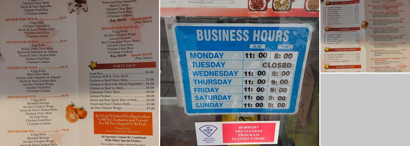 Ming Star Restaurant Inc Menu