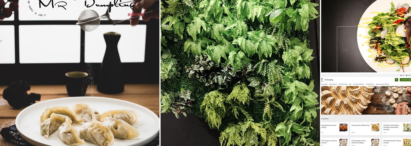 Mr. Dumpling Menu