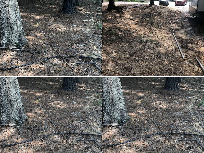 L T Forsyth Enterprises Inc