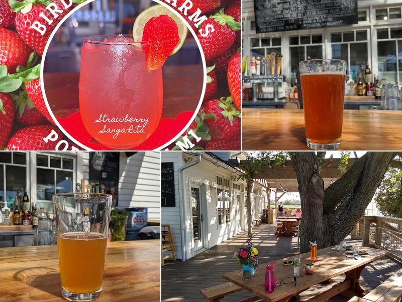 Bird Creek Farms 282 Grindstone Rd, Port Austin