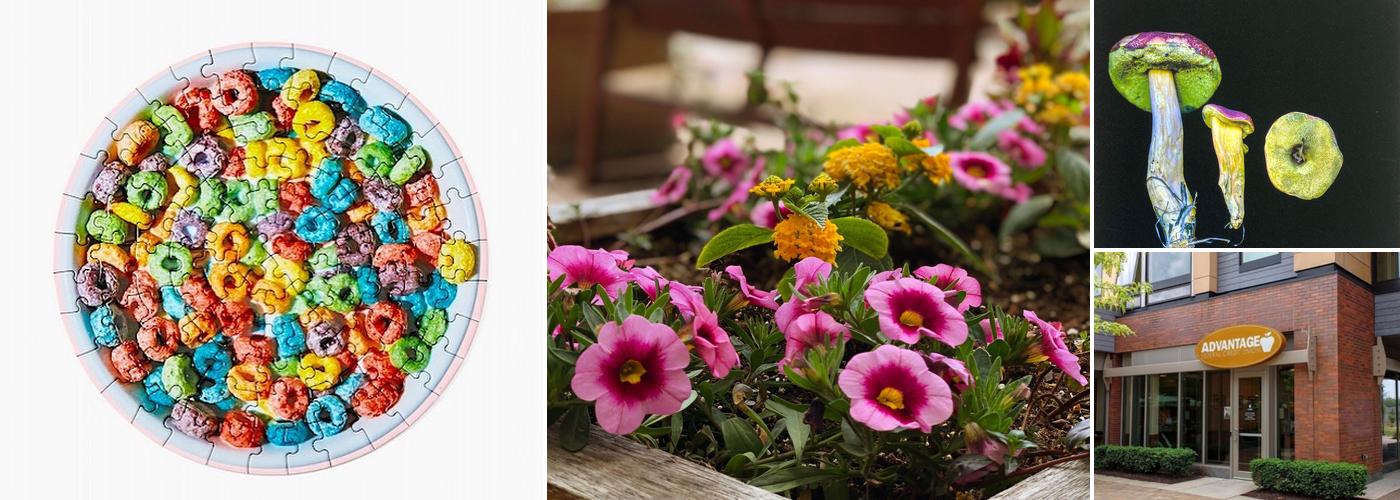 Cantina & Grille at Global Village