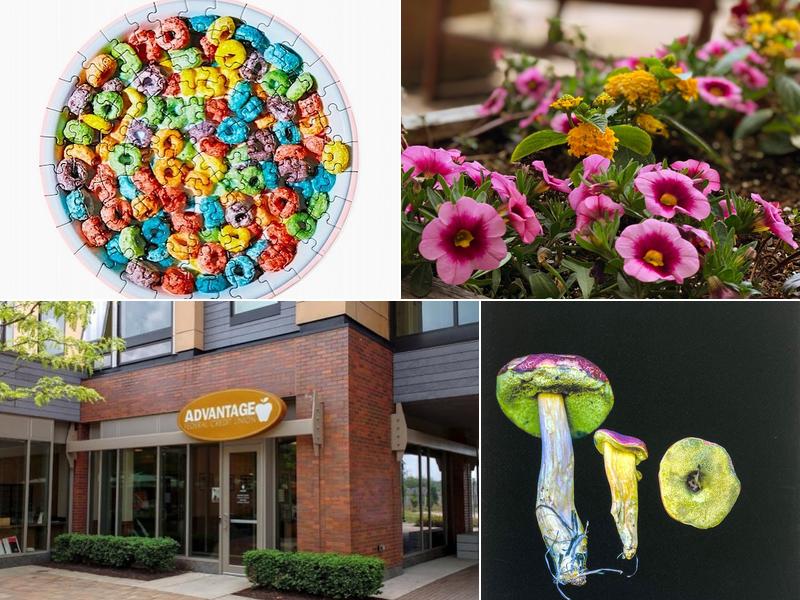 Cantina & Grille at Global Village