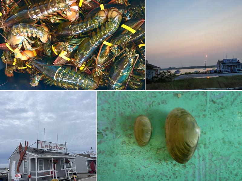 Smitty's State Pier Lobster Pound