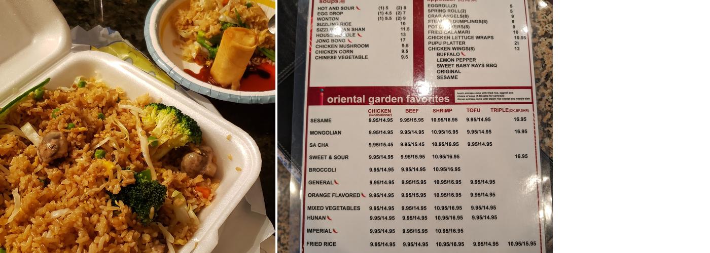 Oriental Garden 2 Menu