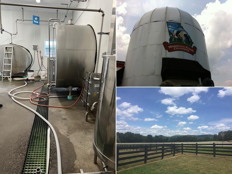 GLOCREST DAIRY DOVE FIELD