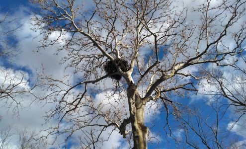 Indian Grove Campgrounds Donnellson