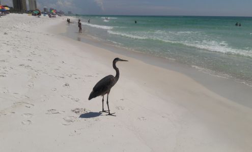 Salvation Army Social Services Department