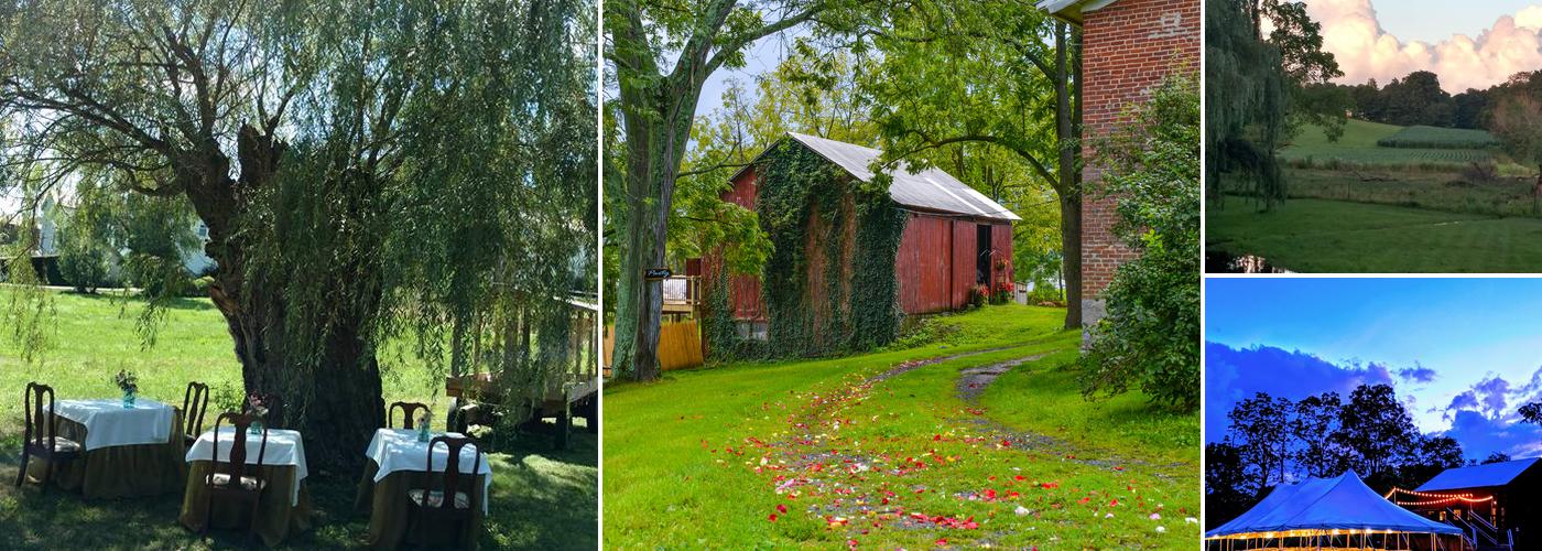 The Hummingbird Room