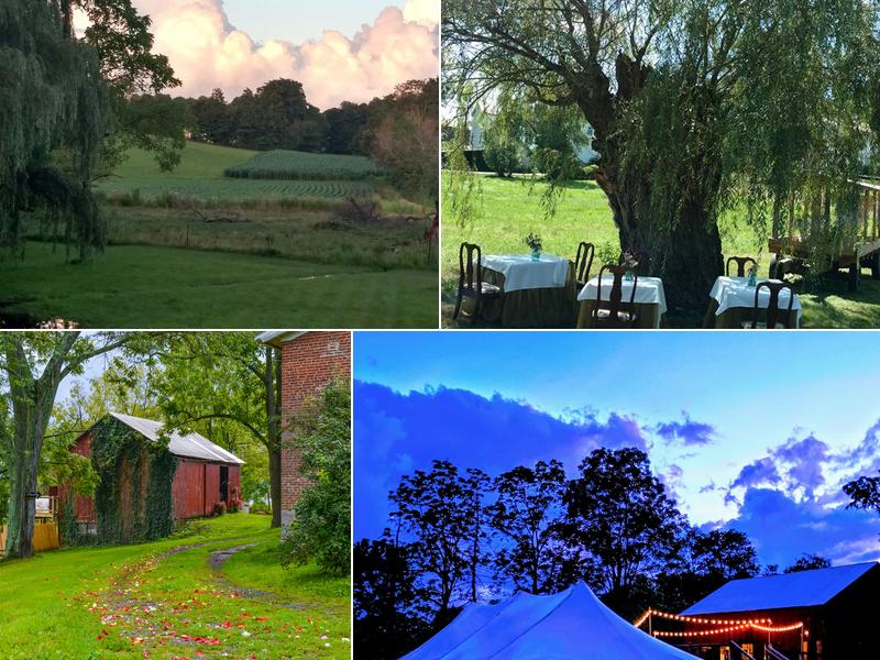 The Hummingbird Room