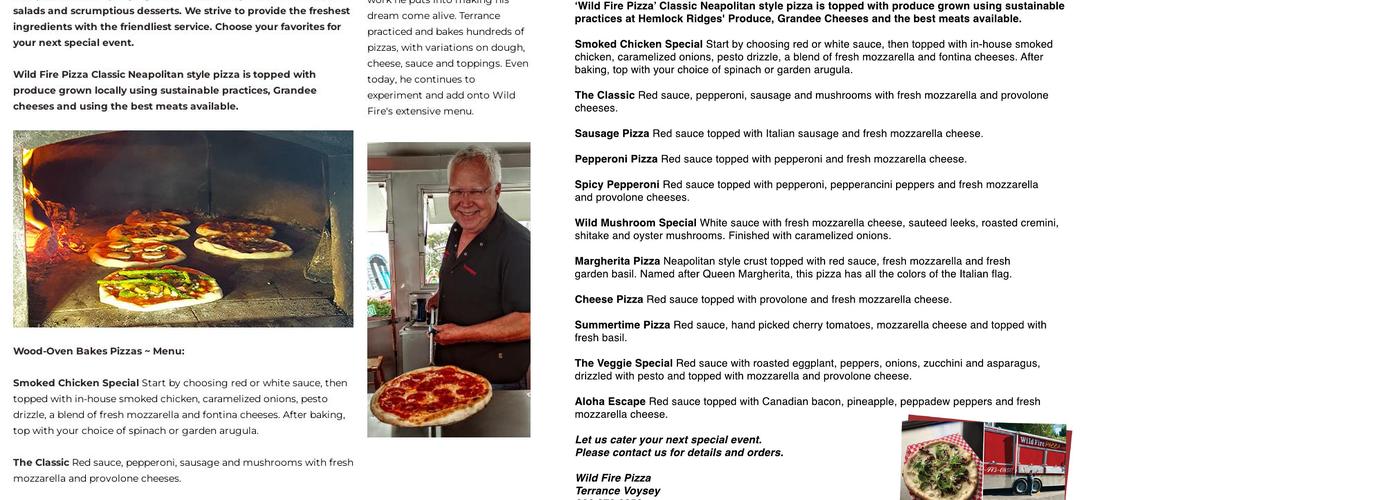 Wild Fire Pizza Menu