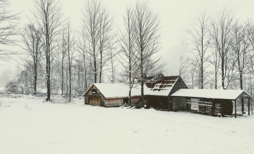 Williamson's Sugar House North Bennington