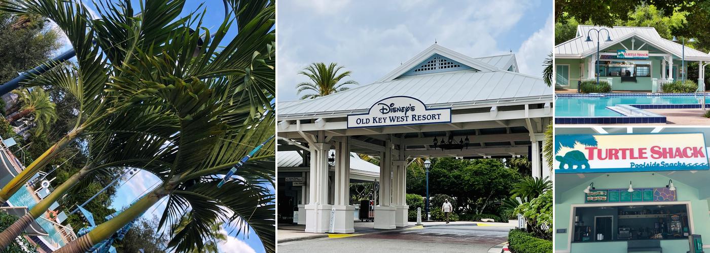 Turtle Shack Poolside Snacks