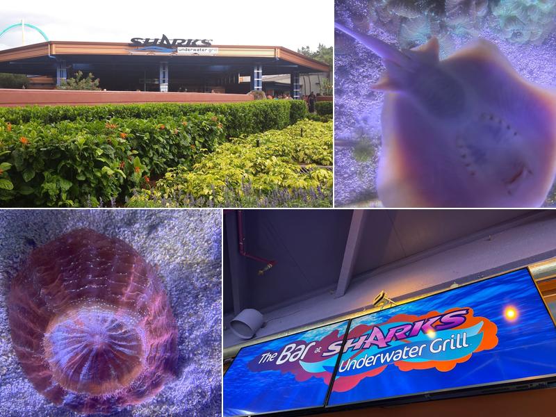 Sharks Underwater Grill