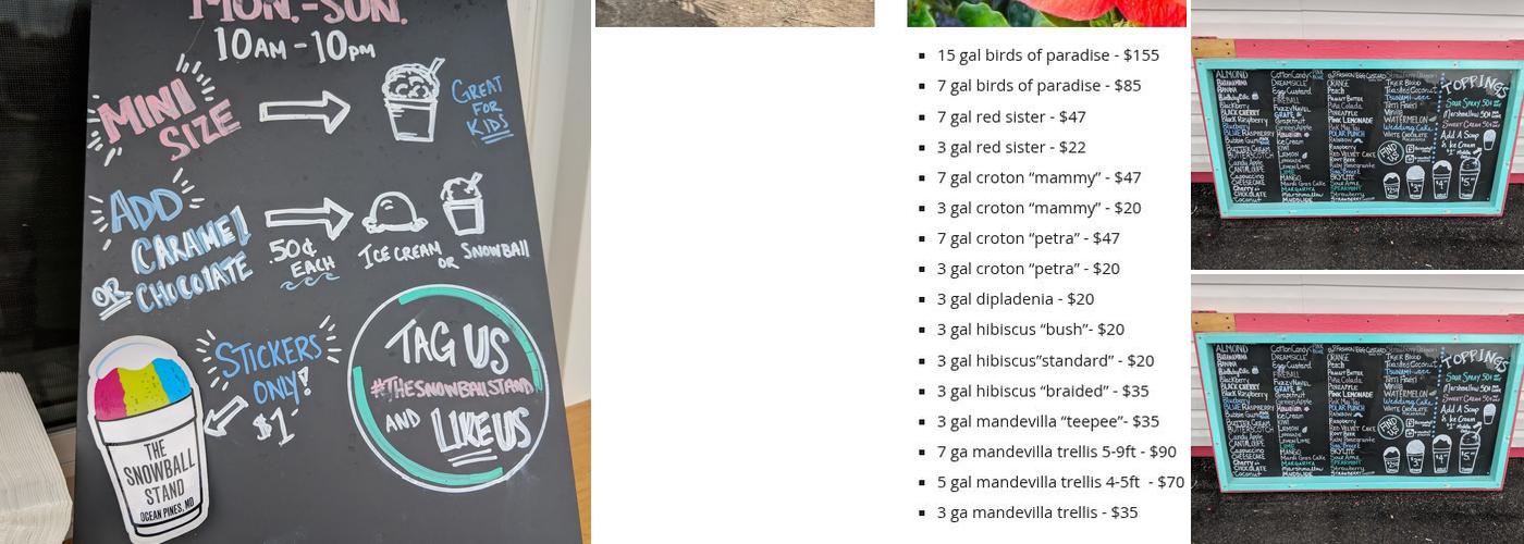 The Snowball Stand Menu