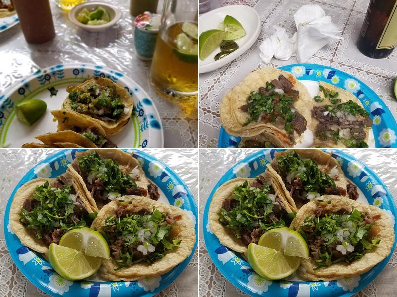 Marianitas E Palmetto St, Florence